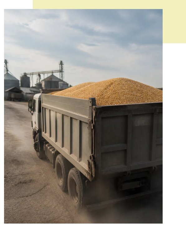 Перевозка сельхозпродукции навалом в Курчатов по цене от 3056 р. | Агросервис-Крч